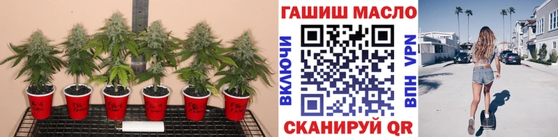 Купить закладки  Южноуральск  ТГК вейп с тгк