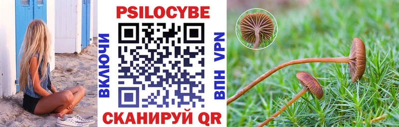 Купить закладки  Южноуральск  Галлюциногенные грибы мухоморы 